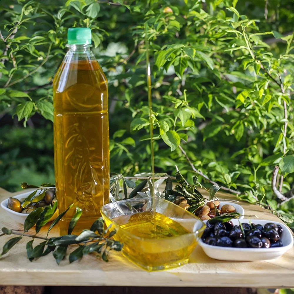 Zeytin Yağı Çeşitleri Toptan Paletli